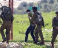 الاحتلال يعتقل عددا من الفلسطينيين بينهم نائب في التشريعي