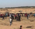 إصابة عشرات الفلسطينيين برصاص الاحتلال في قطاع غزة