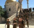 مستوطنون إسرائيليون يقتحمون المسجد الأقصى في القدس المحتلة