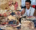 نداء عاجل إلى الرأي العام العالمي: العثور على جثة سمير القانص أحد ضحايا وممارسة دواعش الارهاب التكفيري في اليمن مع الفيديو
