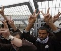 اكثر من الف معتقل فلسطيني يضربون عن الطعام بسجون الاحتلال