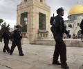#القدس:مستوطنون يجددون اقتحاماتهم الاستفزازية للمسجد الأقصى