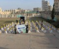 منظمة مساهمة للتنمية الإنسانية تنفذ مشروع السلة الغذائية (2) في محافظة صنعاء 