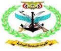 الجيش واللجان الشعبية يحكمون السيطرة على جبل الشجرة بمحافظة تعز