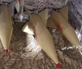 التصنيع العسكري يزيح الستار عن زلزال 3 ضمن منظومة صواريخ الزلزال الباليستية
