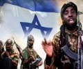 “بوكوحرام” تحصل على شحنة أسلحة إسرائيلية