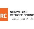 #أمين عام المجلس النرويجي للاجئين يحذر من انتشار المجاعة في اليمن