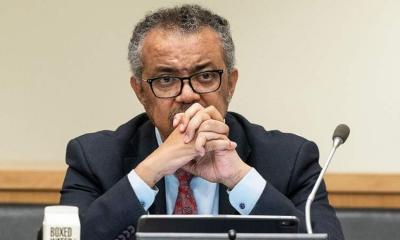محمد على الحوثي يتعهد بحمايه مسئول كبير في الأمم المتحدة ويرحب فيه بصنعاء 
